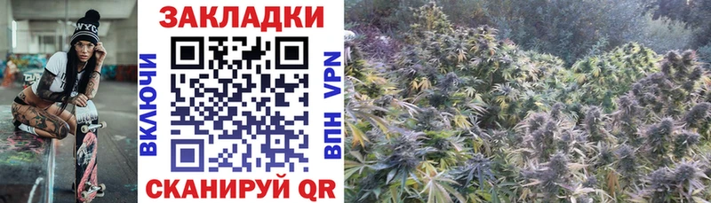 Виды наркотиков купить Цоци-Юрт Alpha-PVP  Галлюциногенные грибы  МЕФ  МАРИХУАНА  ГАШ  Кокаин 