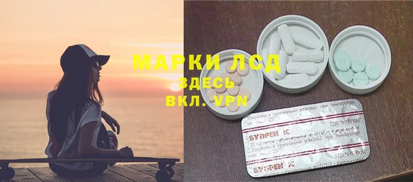 индика Гусь-Хрустальный