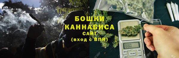 амф Гусиноозёрск