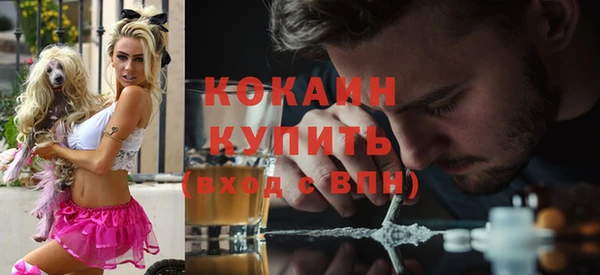 индика Гусь-Хрустальный