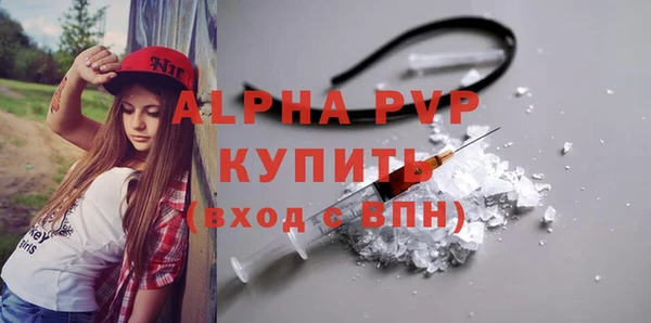 амф Гусиноозёрск