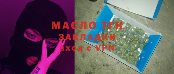 индика Гусь-Хрустальный