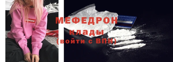 индика Гусь-Хрустальный