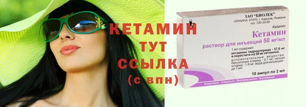 амф Гусиноозёрск