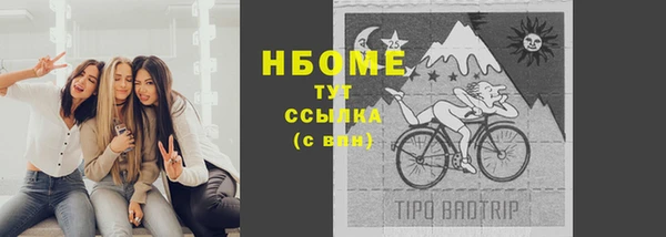 индика Гусь-Хрустальный