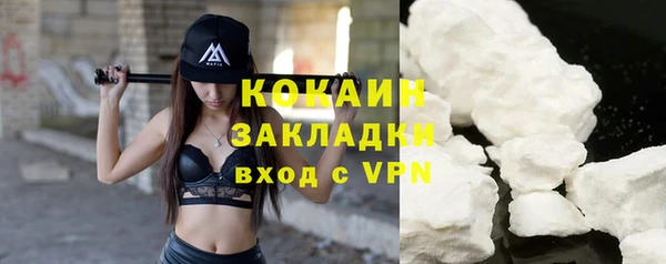 индика Гусь-Хрустальный