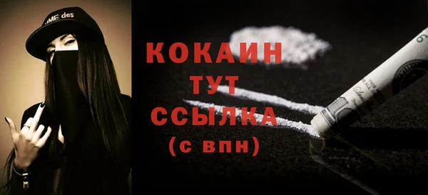 apvp Гусев