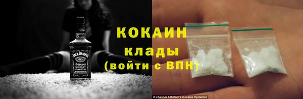 индика Гусь-Хрустальный
