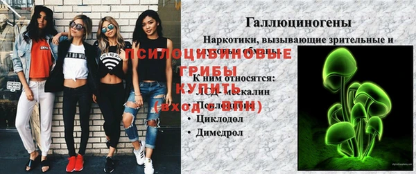 apvp Гусев
