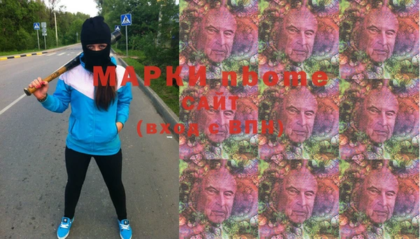 apvp Гусев