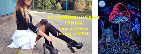 apvp Гусев