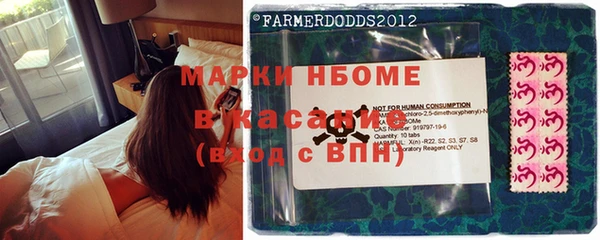 apvp Гусев