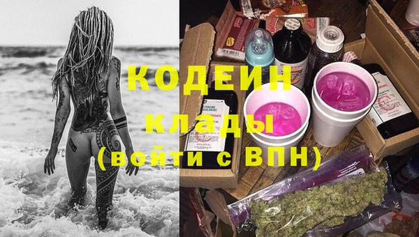 индика Гусь-Хрустальный