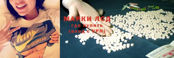 индика Гусь-Хрустальный
