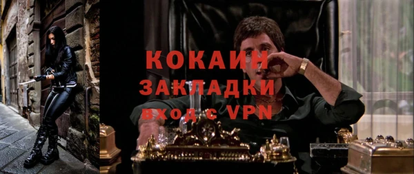 apvp Гусев