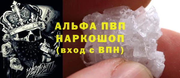 индика Гусь-Хрустальный