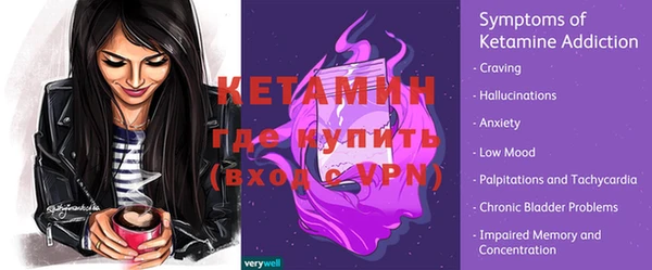 индика Гусь-Хрустальный